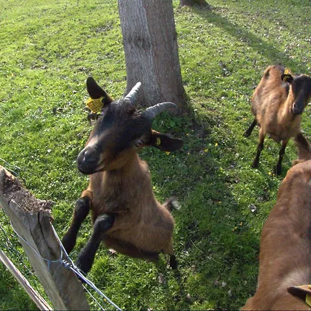 La Calypso Maison 6 Personnes * Blangy-sur-Bresle